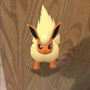 Meet your Posher, Gloria